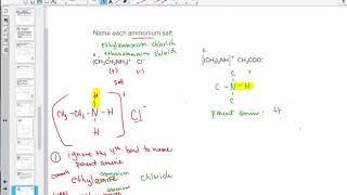 Chapter 18 Amines and Neurotransmitters Lesson 3 Ammonium Salts