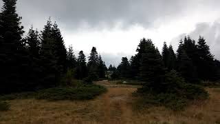 Bursa / Uludağ'da Sonbahar Yürüyüşü / Autumn walk in Uludag #Bursa  #Turkey #Uludag #Mountain