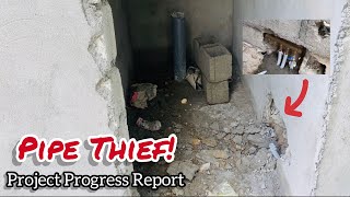 PIPE THIEF | NEW INTRO | PROJECT PROGRESS REPORT🇬🇦