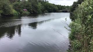 River Lee Flowing Through Fitzgerald Park, Cork, Ireland #cork #ireland