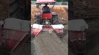 #kubota #maycay #Short #Shosts may cay kubota l5018 ep luong cuc dep #tractorvideo #farmer