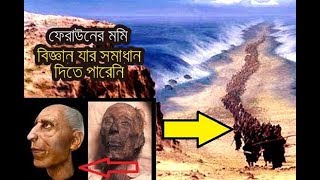 Firaun Short Story | ফিরাউনের সর্ট কাহিনী