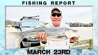 New Jersey Fishing Report March 23rd #fishingreport #striper #surffishing