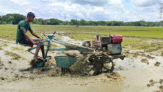 12hp power tiller // Power tiller rotavator in mud // Power tiller videos  // Village Agriculture