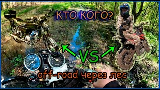 Эндуро покатушки по лесу. Альфа VS TTR