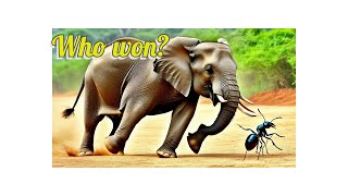 Elephant fight the Ant Story for kids with a lesson | story time |Bed time stories|kids stories|ABC