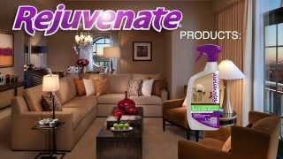 Rejuvenate Carpet Stain Remover