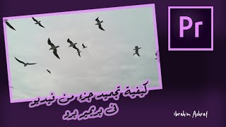 تاثير تجميد الفيديو فى بريمير برو | Freeze Frame