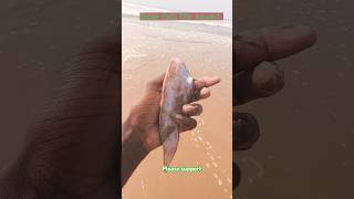 Sole fish life saved#arcade #ytshorts#trending #fishing #fish #viralvideo #respect #beach #ocean