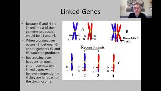 B6-2 Meiosis & Gametes