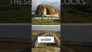 Soddie: Early settlers' homes made from sod! Learn how they built these unique shelters. 🌾🏡