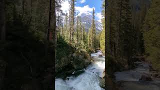 Grand Teton National Park #hiking #nature