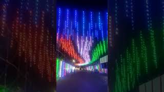 Pixel Led #repblicday #Pixel_Led_Road_Celing #shorts #youtubeshorts