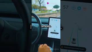 Tesla's New AI-Driven Autopilot is a Game Changer! 🚗🤖