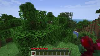 Minecraft (Java edition) v1.16.3 on Fedora 32 PowerPC 64 LE