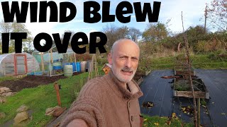 Wind Blew it Over | Allotments For Fun and Food