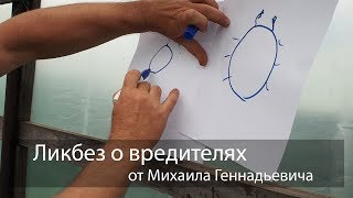 Ликбез о вредителях от Михаила Геннадьевича