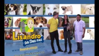 Candidatos do Alto Tietê se Unem pela Causa dos Animais