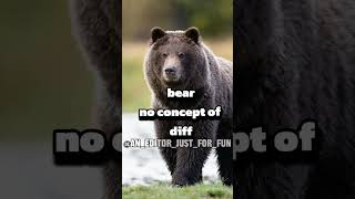 bear vs memeverse #debate #fypシ #edit #plzsubscribe #roadto1k #trending