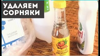 Удаляем сорняки с помощью уксуса 🌿 Remove the grass with vinegar