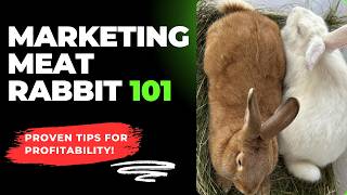 HOW to CREATE MARKET for your RABBIT MEAT: ENSURE Profitability