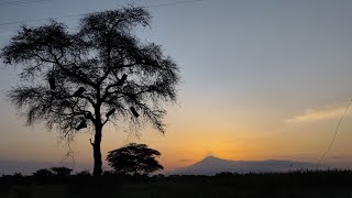 Mount Meru 🇹🇿