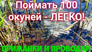 КЛЁВ - ОНЕМЕЛА РУКА! ЛОВЛЯ ОКУНЯ И ЩУК НА МИКРОДЖИГ. РЫБАЛКА НА УЛЬТРАЛАЙТ.