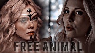 ▶ MultiFemale || FREE ANIMAL [+MoviePineapple]