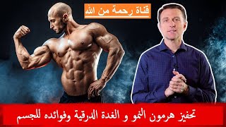 تحفيز هرمون النمو و الغدة الدرقية وفوائده للجسم | دكتور بيرج