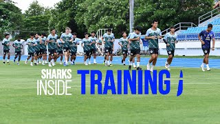 🦈 SHARKS Inside Training : Last training before SUPHANBURI!