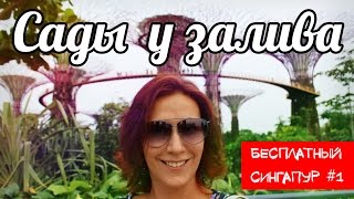 Бесплатный Сингапур ☆ Сады у залива в Сингапуре ☆ Gardens by The Bay in Singapore