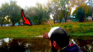 Pesca de BAGRES con pan en plena ciudad