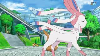 Eevee looking all eevee form ##POKEMON MASTER JOURNEY||Cartoon anime