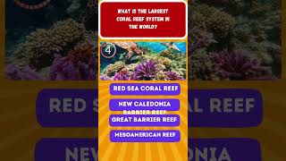 What is the largest coral reef system in the world?