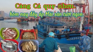 Cảng Cá quy nhơn Cầu hàm Tử - 5 giờ sáng #hảisản