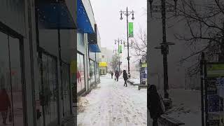 Beautiful Winter Snowfall #song #music #snowfall #Winter