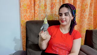 Village girl daily lifestyle and cooking simple and delicious food:Iran village life vlog|villager