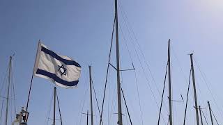 флаг в порту    flag in the port