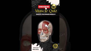 99% People can't answer this question|| anatomy quiz ||anatomy quiz muscles | #3dmusclesquiz #3dquiz