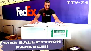 Unboxing a $15k Ball Python package from Marc Bailey | The Trap Vlogs