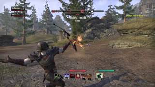 The Elder Scrolls Online PvP Two VR1 Out Gank A VR13