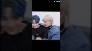 This vid had no point but it’s cute#kpop#straykids#skz#stay#skztalker