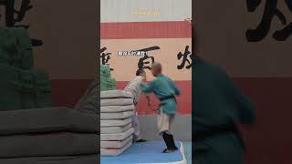 【少林七小侠】 ShaolinBoys 师父：行，你也搞事情（中）#shorts #ytshorts   #kungfu #gongfu #status #foryou