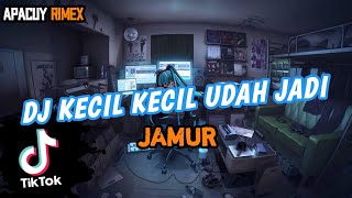 DJ KECIL KECIL UDAH JADI JAMUR JANDA JANDA DI BAWAH UMUR | DJ JAMUR VIRAL TIKTOK TERBARU 2023 !