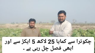 چکوترا سے کمایا 25 لاکھ 5 ایکڑ سے اور ابھی فصل چل رہی ہے ۔