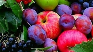 Top 10 National Fruits & Their Countries: A Quick Bite #country #fruits #place