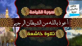 سورة القيامة - تلاوة خاشعة ومؤثرة - حالات واتساب دينية