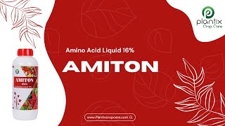 AMITON (Amino Acid Liquid 16%)