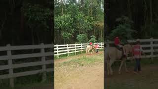 "Duda" andando a cavalo