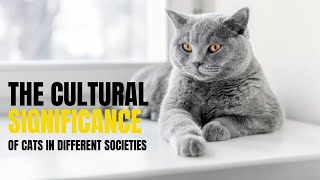 THE Cultural Significance of CATS in Different Societies